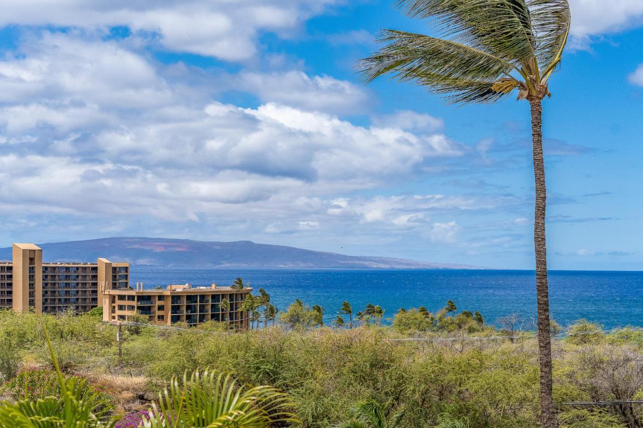 Maui Kamaole A204 - Romvari Realty Kihei Εξωτερικό φωτογραφία